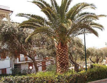 Residence L'uliveto Gioiosa Marea Extérieur photo